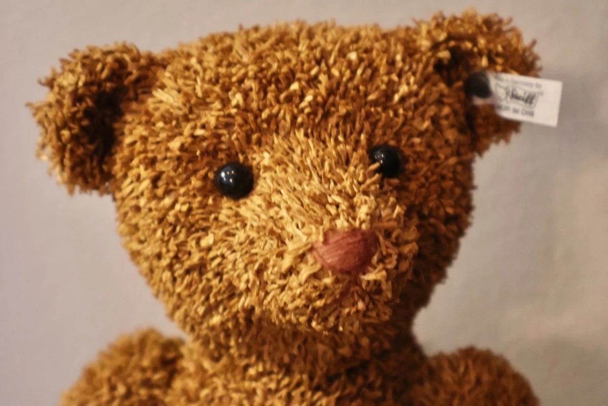 11 - 15 in Size Antique Teddy Bears Just Listed 2026