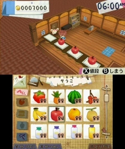 USED Nintendo 3DS Hometown Story 11234 JAPAN IMPORT - Imagen 6 de 6