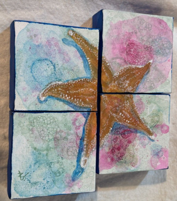 4 pc small Canvas Art - Quadriptych - Starfish - Signed, Stickles Weeden marks
