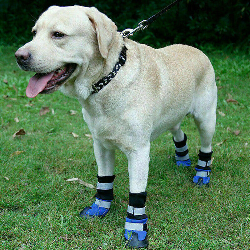 4 Pcs Waterproof AntiSlip Pet Boots Dog Shoes Protective Rain Booties