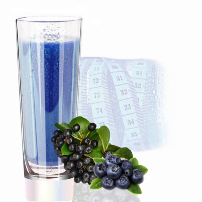 Aronia Blaubeere Whey Protein Eiweiß Isolat Iso Konzentrat 100 kg