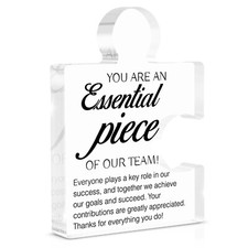 Team Appreciation Gifts Thank You Gift for Coworkers Colleagues Employees, Be...