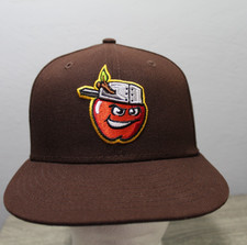 TEAM ISSUE 2025 New Era 59fifty Fort Wayne TinCaps Brown Sunday Alt. 7 1/8 