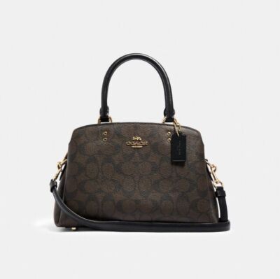 Coach Lillie Carryall Women's Leather Mini Handbag - Brown/Black