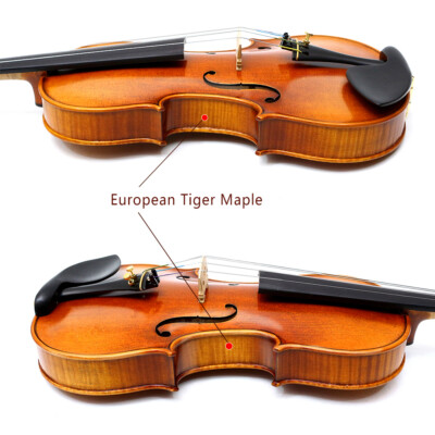 4/4 Tiger-Striped Maple Handcrafted Violin with Premium Ebony