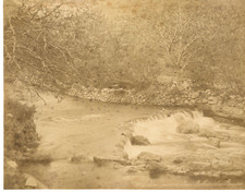 Algeria, Biskra, Sources de l'Oued Vintage Albumen Print.  albumi print