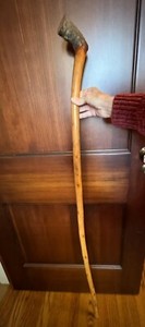Hand Carved Hiking Stick Made Of FL Jasper Wood Salvaged From Hurricane Folk Art