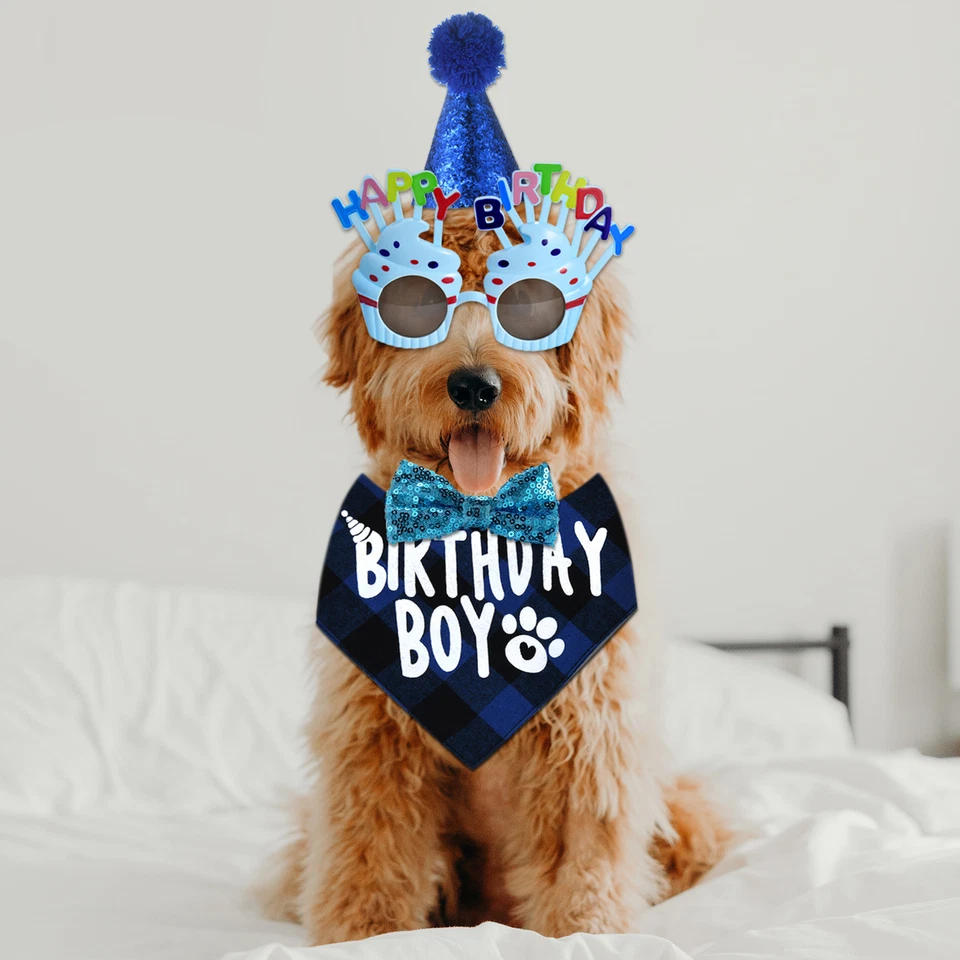 Perro Niño Cumpleaños Fiesta Suministros Sombrero Bandana Gafas Pajarita Set Pequeño Mediano Mascota Foto 3 de 4