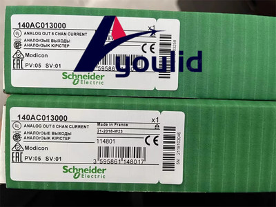 1PCS New Schneider 140ACO13000 Analog Output Module Fast Shipping US Free tax