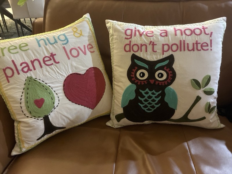 Pottery Barn Pillow Covers And Down Pillow Inserts 20x20 EUC