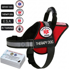 Therapy Dog Harness – Service Dog & ESA Vest No Pull Handle ID Pocket + 10 Cards