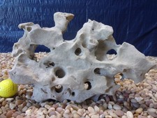 07 Texas/TN Holey Rock 09"x12"x03" Aquarium Reptile Honeycomb Limestone