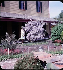 Woman posing in garden  - 1950/60s Stereo Realist Slide Kodachrome #999