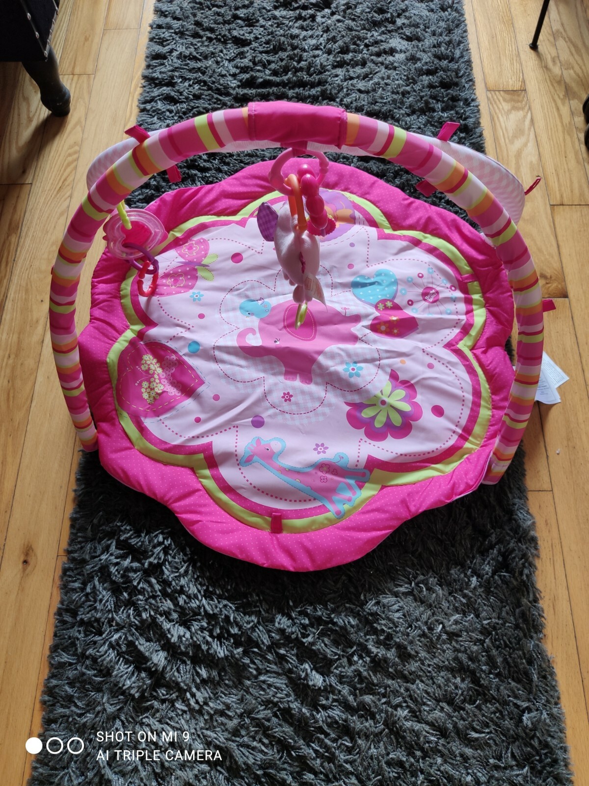 bright starts simply fox & friends activity gym