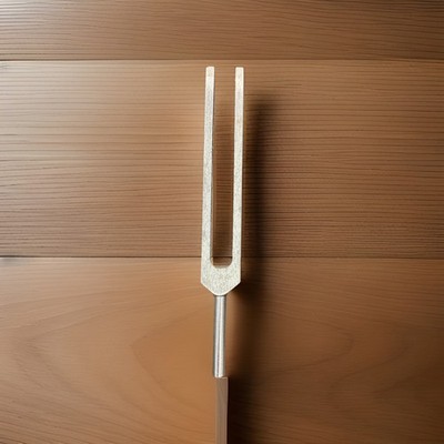 McCOY TUNING FORK C 128 Vintage 8 In No Accessories