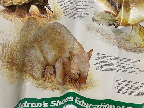 Clarks Amazing Australian Animals Poster Wildlife Natures Series No 7 Vintage - Bild 4 von 9