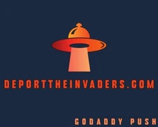 deporttheinvaders.com brandable .com domain name Godaddy Push