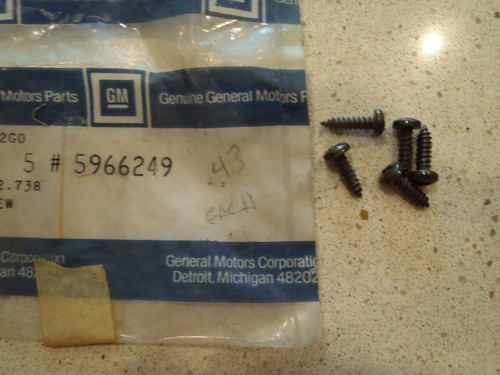 1975-1980 Grand Lemans Chrome Headlight Bezel Marker Grille Trim Screws OEM GM