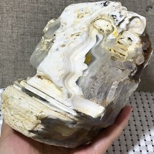 Bonsai Suiseki-Natural Gobi Agate Eyes Stone-Rare Stunning Viewing 1852g a888