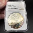 1987 $1 American Silver Eagle NGC UNC Details! Monster Toned! Artificial Toning!