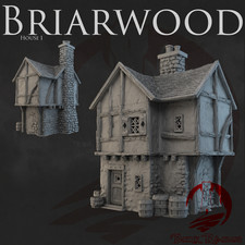 Medieval House 1 Miniature 28mm Terrain for Dungeons Dragons