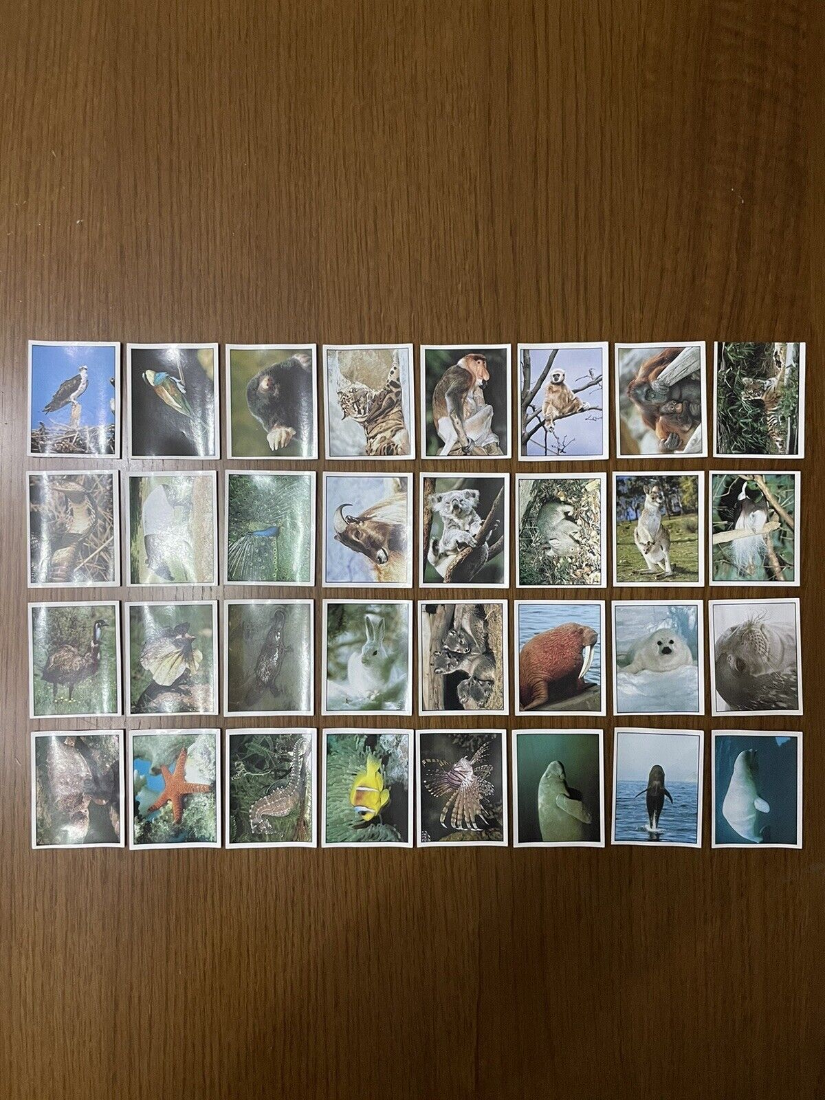 Foto 3 di 4