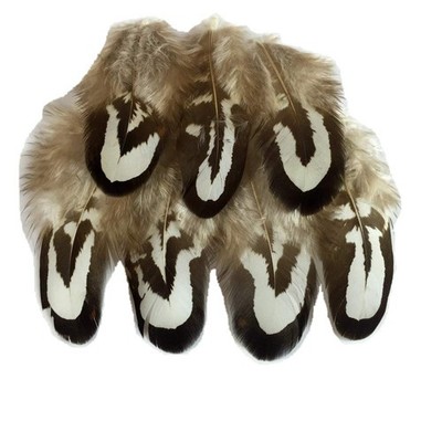 50pcs Natural Ringneck Pheasant Plumage Feathers 2-3 Inches Home Wedding Deco...