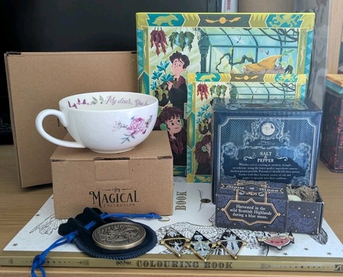 Wizarding World Harry Potter Themen Merch Bundle - Litjoy, Geek Gear und mehr