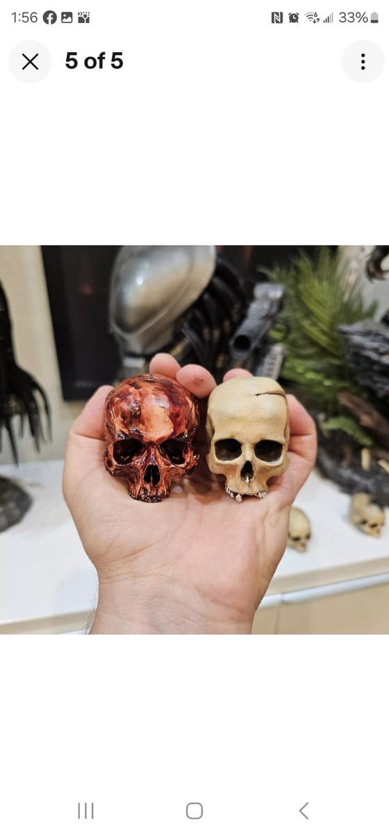 Custom Bloody Skull For Prime 1 Studio Predator Big Game Cover Art