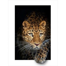 DIY Bead Embroidery Kit Needlepoint Beading Beadwork leopard