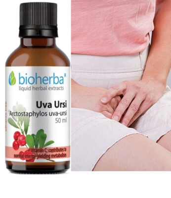 Uva-Ursi Bärentraube Kräuter Flüssigextrakt Tinktire mit Vit.C | 50ml