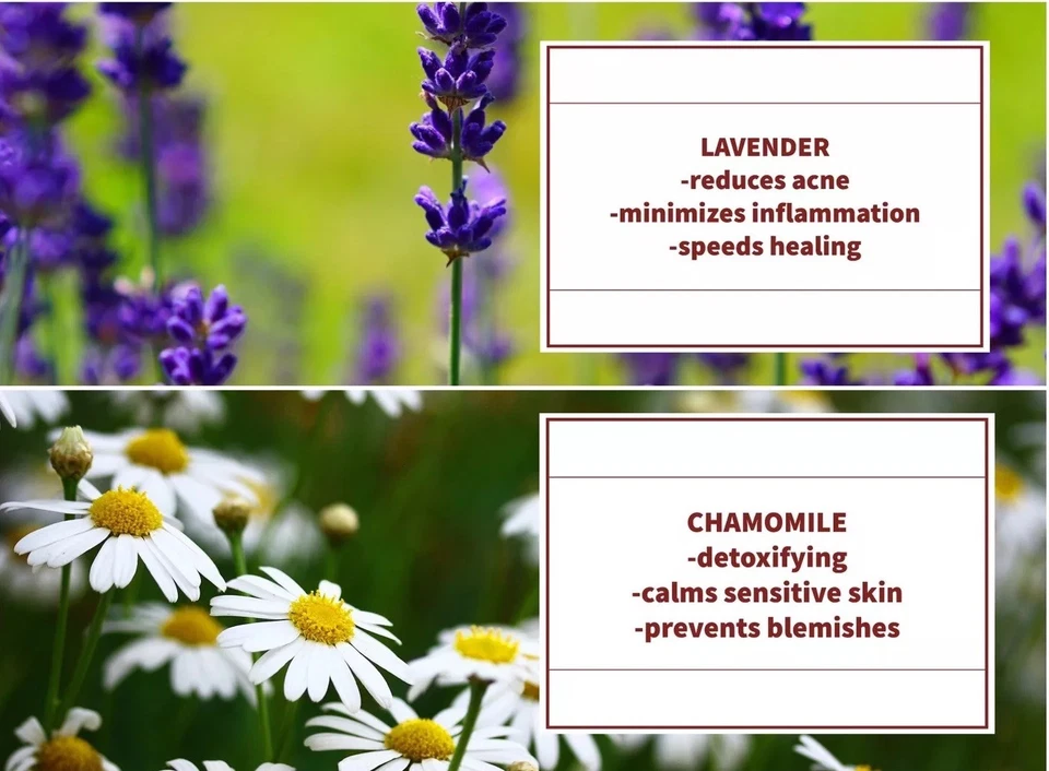 Reducción permanente del vello/depilación-espalda, piernas, pecho-unisex-cara/cuerpo Foto 4 de 4