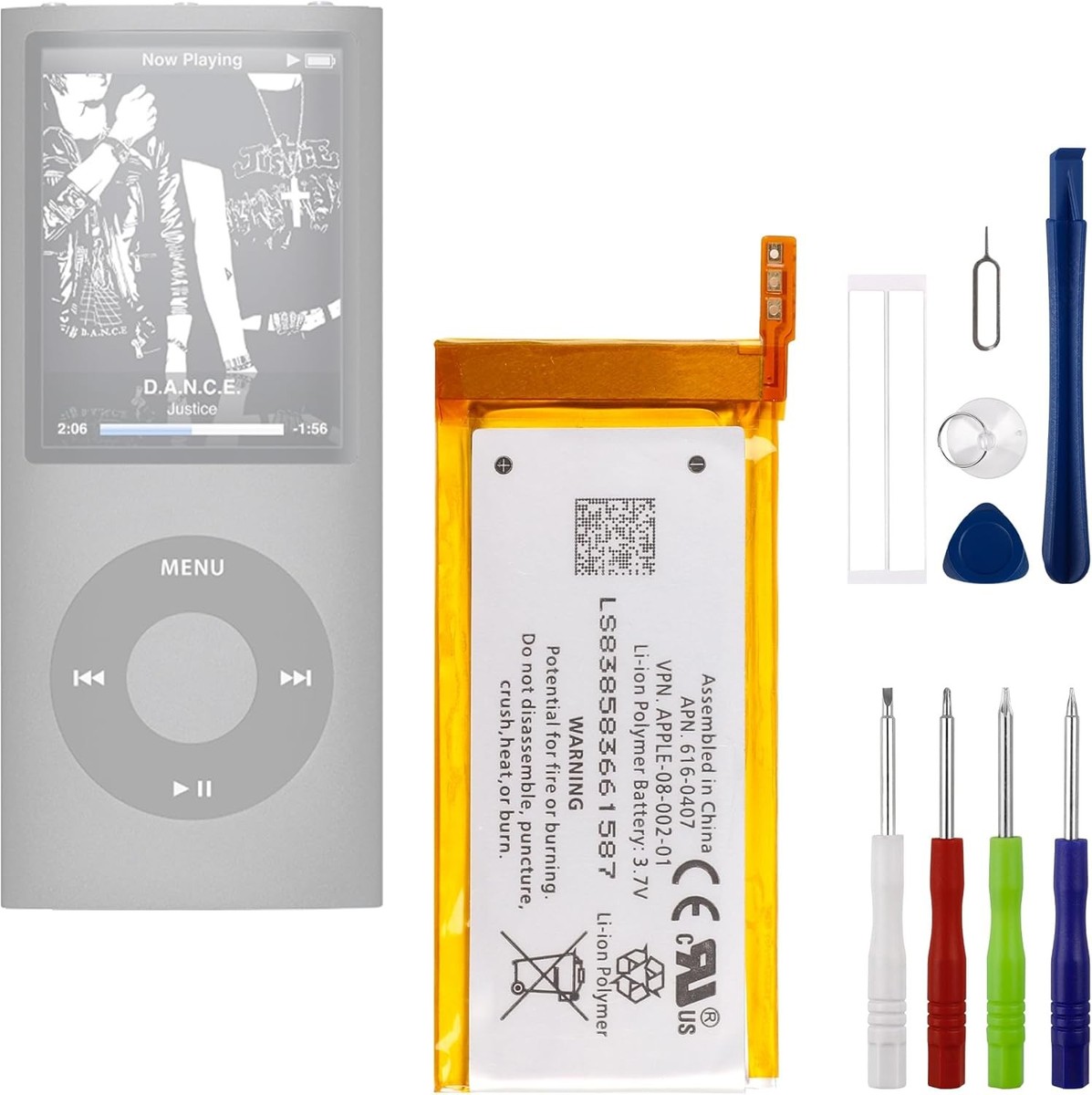 queen anthurium for sale Anthurium warocqueanum 'Big'  Large Queen Anthurium Specimen