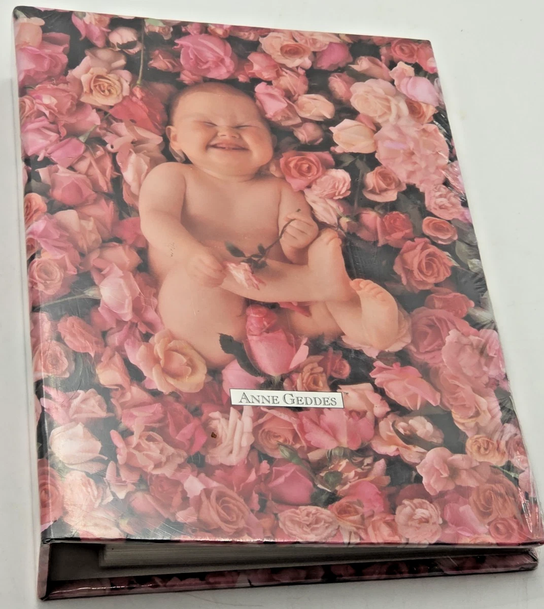 25+ Anne Geddes Baby Books & Albums for sale | Updated Oct 2026