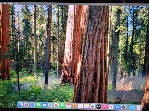 Apple iMac 21.5" Retina 4K Early 2019 Core i7-8700 3.20GHz 16GB RAM 500GB SSD - Photo 7/8