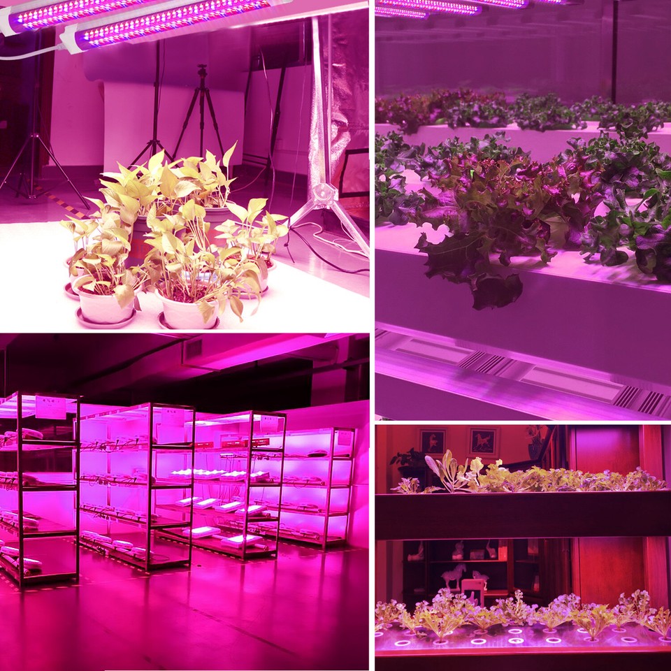 4FT T8 LED Plant Grow Light Full Spectrum 160W(4 × 40W) 48inches LED ...