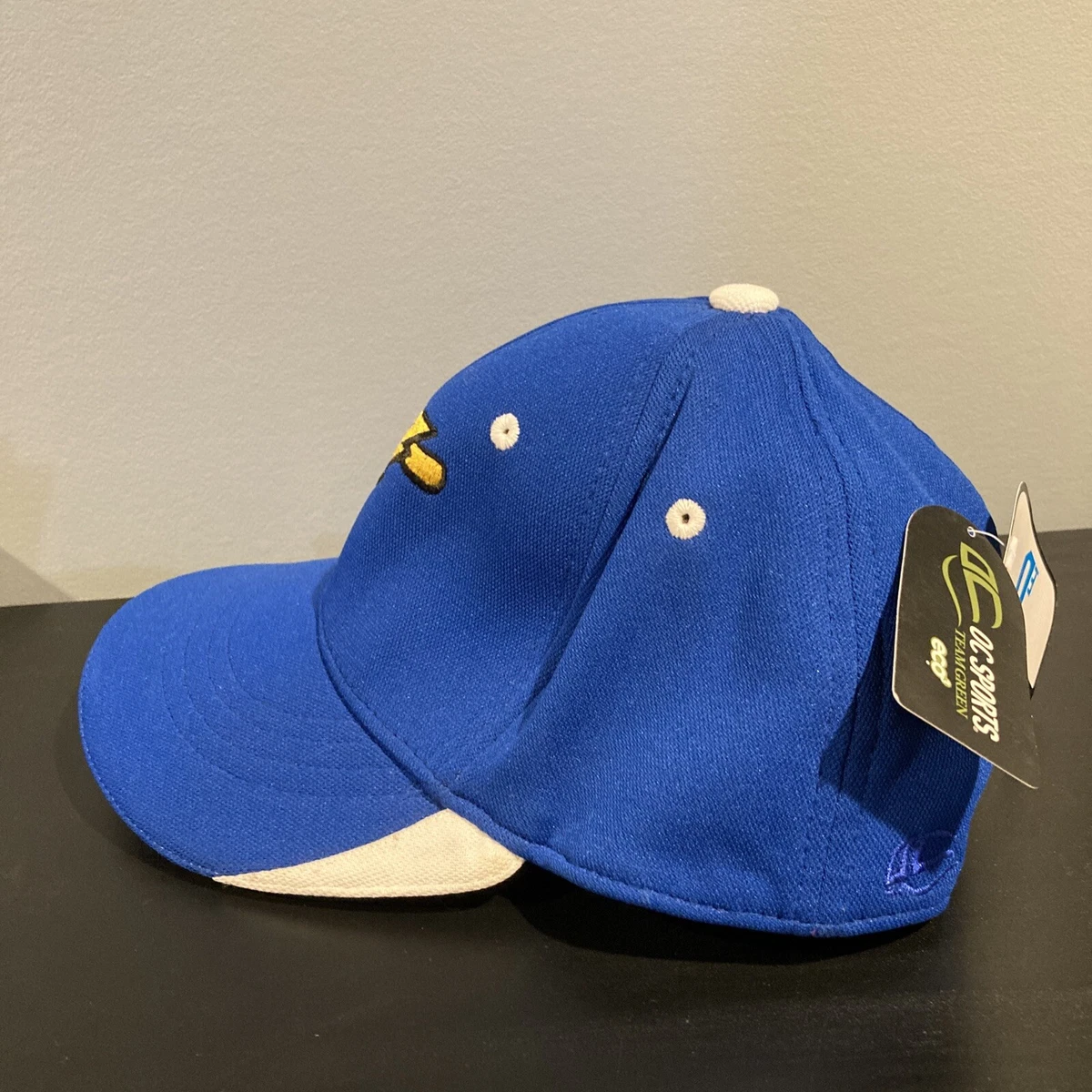 Trenton Thunder Minor League Baseball Hat Adult S/M Stretch Fit CAP Blue Strike