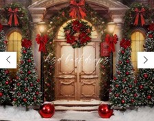 HSD Christmas Hall 10'W x 8'H Landscape Backdrop