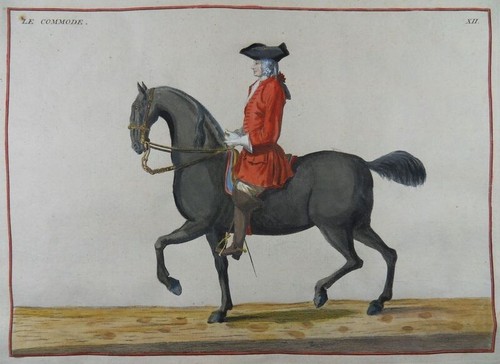REITSCHULE EISENBERG REITEN PFERD MANEGE MODERNE 1727 HORSE RIDING Le Commode