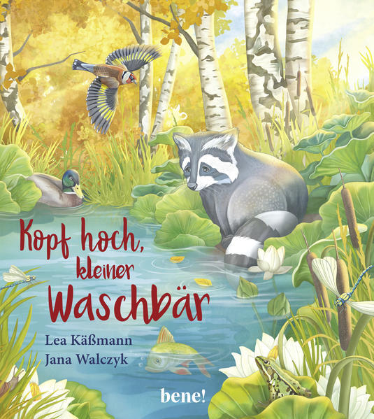 Thumbnail - Kopf Hoch, Kleiner Waschbär - Ein Bilderbuch Für Kinder Ab 2 Jahren |