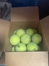 25 Used Tennis Balls For Dogs/Chairs Various Brands