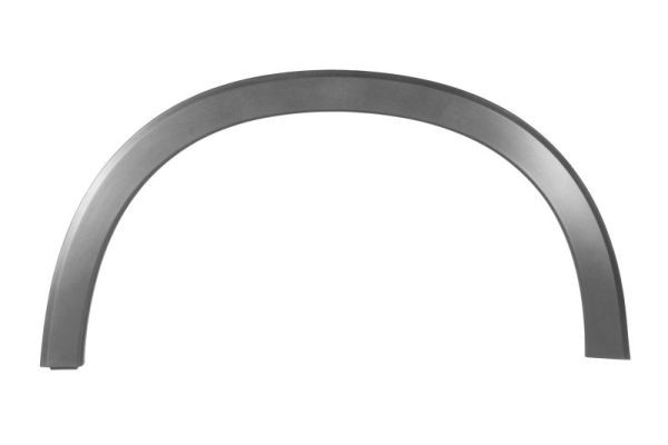 Right Front BLIC 5703-08-2950376P Trim/Protection Strip, wing for HONDA