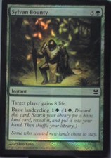 Sylvan Bounty - Modern Masters: #165, Magic: The Gathering - Foil Lp C255