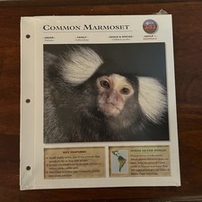 Vintage 1999 NOS Wildlife Explorer Pack 90 Mammals Common Marmoset