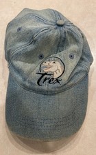Dinosaur T-Rex Blue Hat Cap Otto One Size Fits Most