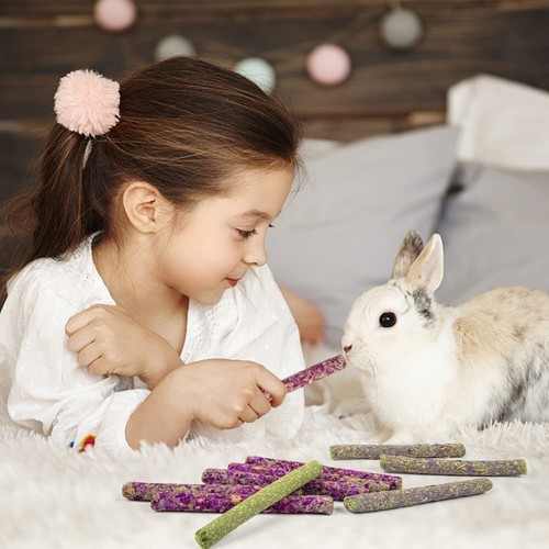 44 Pack Timothy Hay Sticks Rabbit Toys Bunny Toys Guinea Pig Toys Natural Chews - Picture 6 of 7