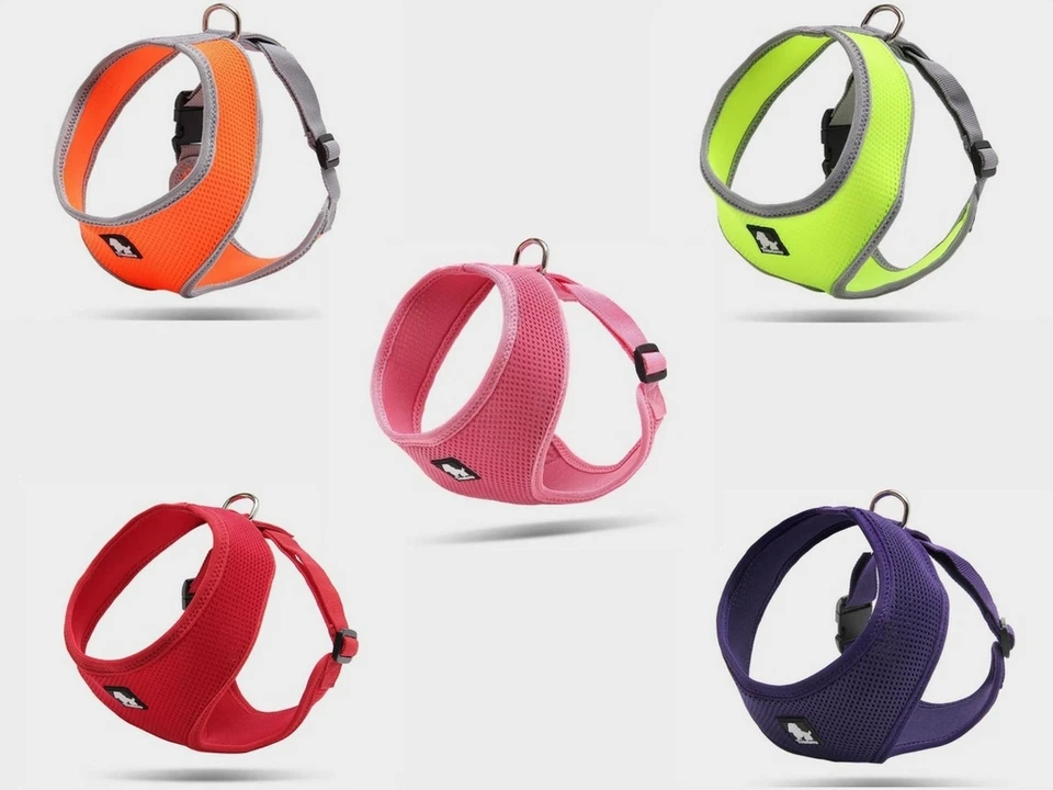 Truelove PURR Arnés para Gatos, Seguro, Chaleco Ajustable para Gatos Ligero, A Prueba de Escape Foto 2 de 4