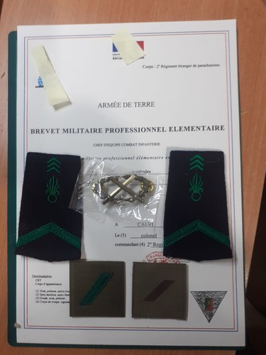 Insigne écusson Patch Tissu BMP argent Brevet Légion Etrangère FFL