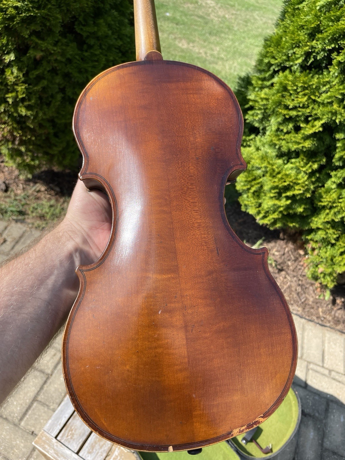 Foto 1 di 24