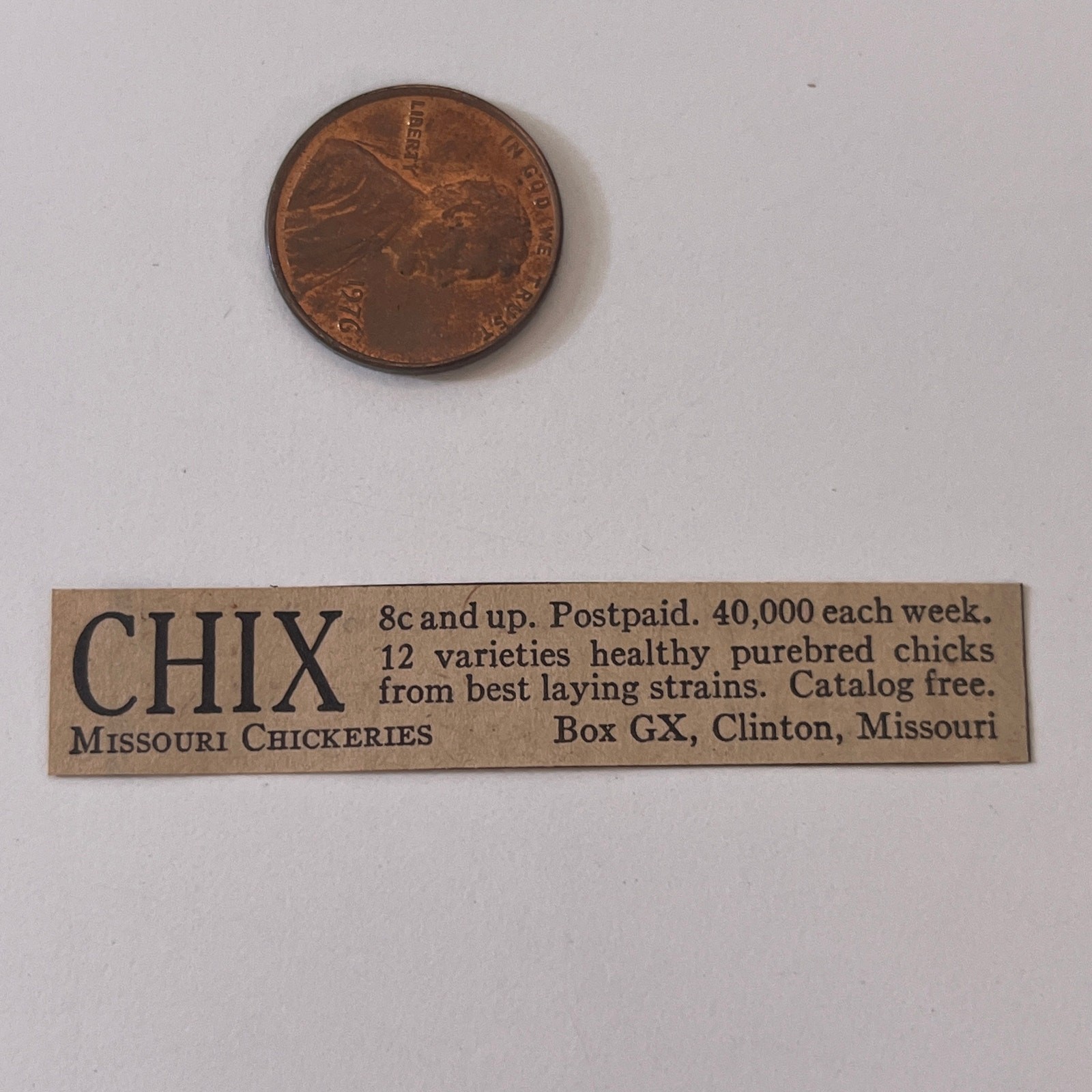 Missouri Chickeries Healthy Purebred Chix Clinton MO 1923 Ad SAG8-S13